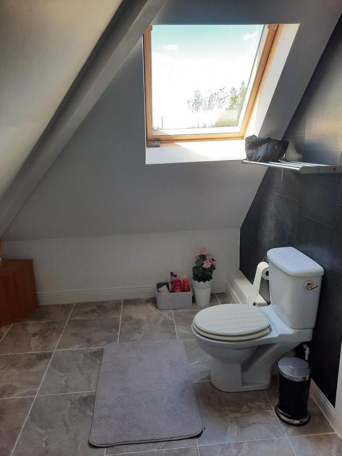 Killenard Self Catering Accommodation Экстерьер фото